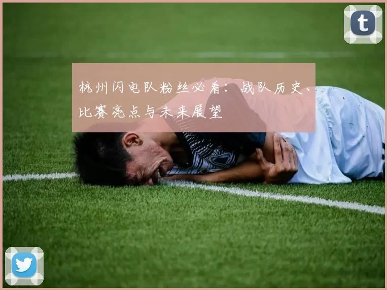 杭州闪电队粉丝必看：战队历史、比赛亮点与未来展望